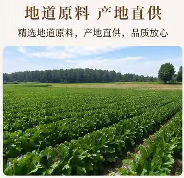 Dried Rehmannia Root Sheng Di Huang 1000g Raw Herb Slices from Henan for Decoction and Soup overview