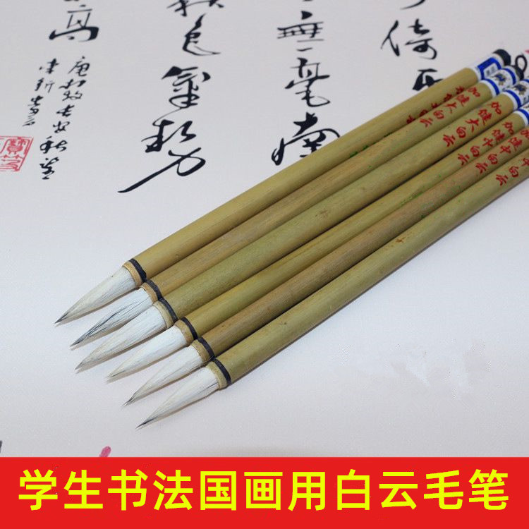 805055F849A3286D91E732C1917077