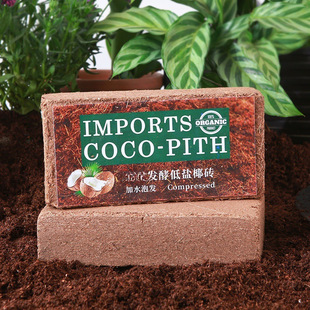 Ҭ�u Ҭ�۴uҬ���� �̨�N�˷Nֲ���o���m�����I�B�������|�����l