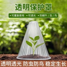 ������ֲ�ﱣ�o�ּӺ��r��͸����x�����B���oֲ���������؏���