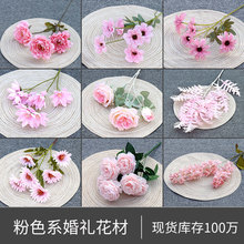 ��ɫϵ(2)���滨��c��Y�üٻ���Y�b�·���彁�����Q�������