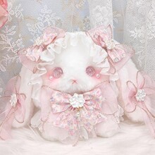 ɭϵins���ֵ��ͨ������������żб�����Ů����朗l�μ������