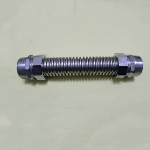 304���P�������{���y�� (�~�^������ܛ���L�C�P���B��