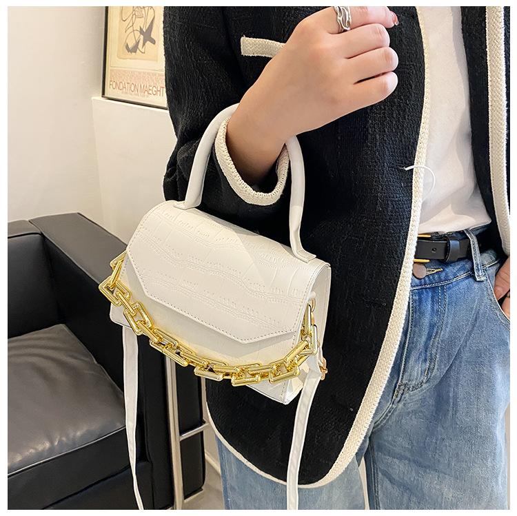 New Bags Women's 2021 Autumn And Winter Fashion Alligator Print Handbag European And American Simple Multi-color Shoulder Messenger Bag Fashion display picture 14