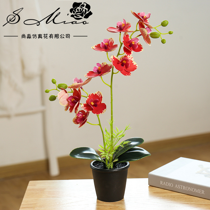 Flor falsa impresa en 3D orquídea mariposa pequeña flor de simulación bonsai creativa decoración interior fábrica directa image 7