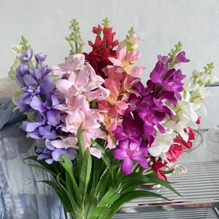 ֻذҹc·廨_mw^ldiy