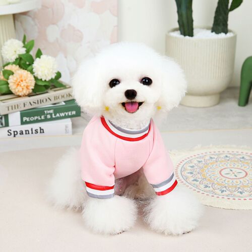 Baseball Boy Sweatshirt Autumn and Winter Dog Clothing French Teddy Pet Warming Supplies Wholesale