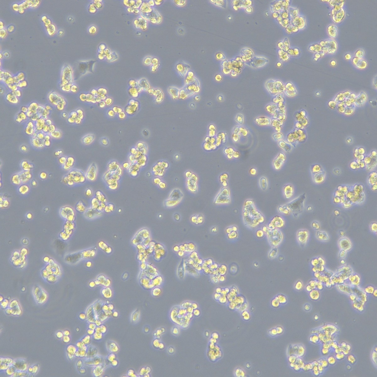 2025-11-04 14:42:18.jpg