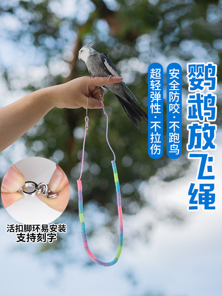 鹦鹉放飞绳超轻外出牵引绳遛鸟绳玄凤牡丹脚环专用代发爆款厂家