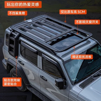 ladder expansion platform aluminum — Roof rack