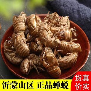 ��؛��Ʒ�o���s͑Ƥ��ș��֪�˚��s͑��ë��ԭ�ϰ��]�Ț���ȻÓ��
