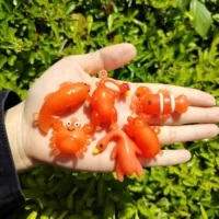 Сетка красный автомобиль обесцвечивает жареную курицу, жареную рыбу, жареную креветку, жареную утку, автомобильные подвески креативные зеркала заднего вида, качели милые подвесные украшения