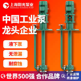 【定制】FY系列液下 无堵塞立式液下泵无泄漏 化工泵可定做 定金