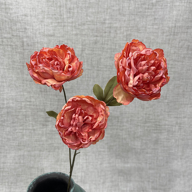 국민트렌드 모란-오렌지 3개