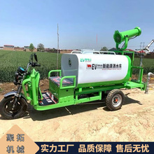 小型环保除尘雾炮车 新能源三轮绿化电动洒水车
