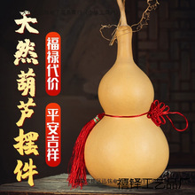 ��Ȼ�д�̖���J�[���_�I���w�Y��Ҿ����P��ؔ����b��͵������l