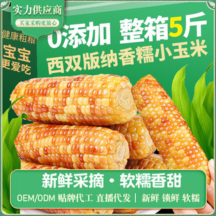 ���p��{ĴָС�������l���rŴ������ŴС���׻�Ŵ���׵�֬����