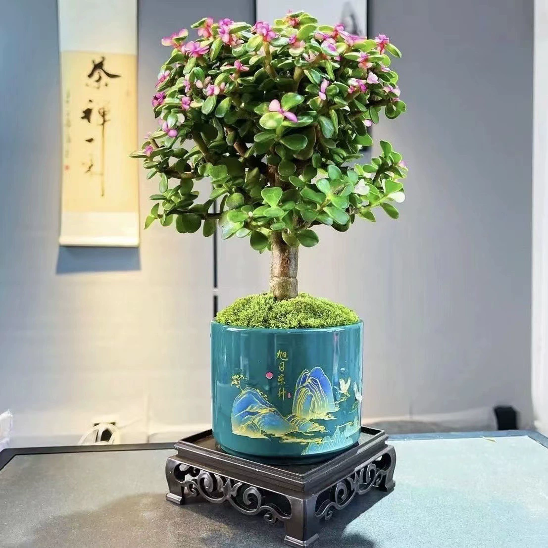 Золотые ветки и нефритовые листья в горшках офисные мясистые растения Редкие сорта Старый ворс мясистые цветы Домашний бонсай Хорошее воспитание зеленых растений