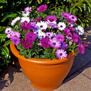 �Ϸ��f�۾շN���{Ŀ���ͺ����^ͥԺ�����ļ����N�_�����޾ջ��N��