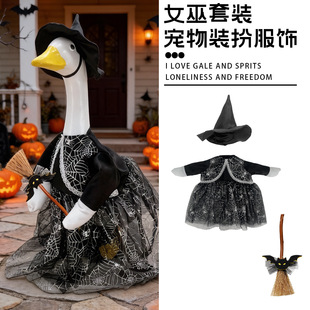 �f�}���T���Z����Z�b�Ů��ñ�Ӓ������Z��ֲ��LͥԺ�b�Ʒ