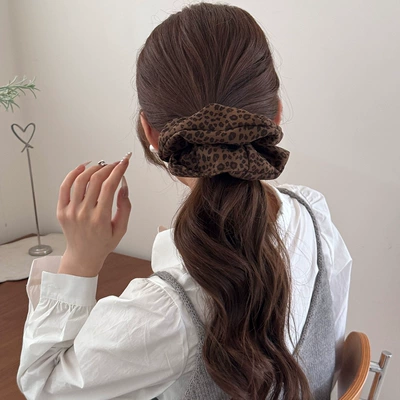 Sophisticated Autumn and Winter Leopard Print: Saç üçün rezinlər