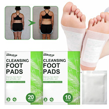 South Moon �坍���N ����坍���w�㲿�o�����w�w���o�������N