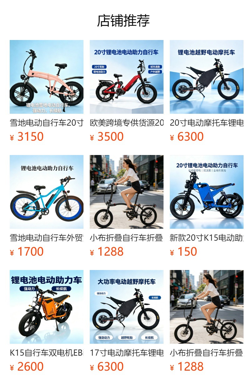 Exclusive cross-border supply of new models 20inch Fat tire 2-wheel electric motorcycle soft-tail mountain electric bicycle