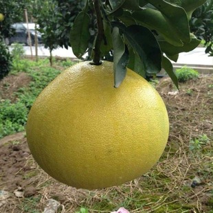 ��h�ĵ�����޽��������ĵ����Ә��箔��Y�������ϱ����N������