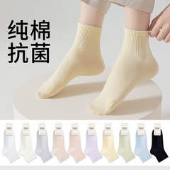 純棉運動襪子女中筒春季新款無骨吸汗抗菌夏季薄款女士短筒棉襪