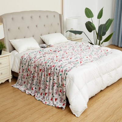 厂家定制毛毯批发法兰绒毯办公室午睡毯子空调毯膝盖毯|ms