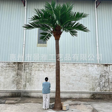 仿真椰子树景观工程仿真树室内外大型玻璃钢椰子树棕榈树大王椰树