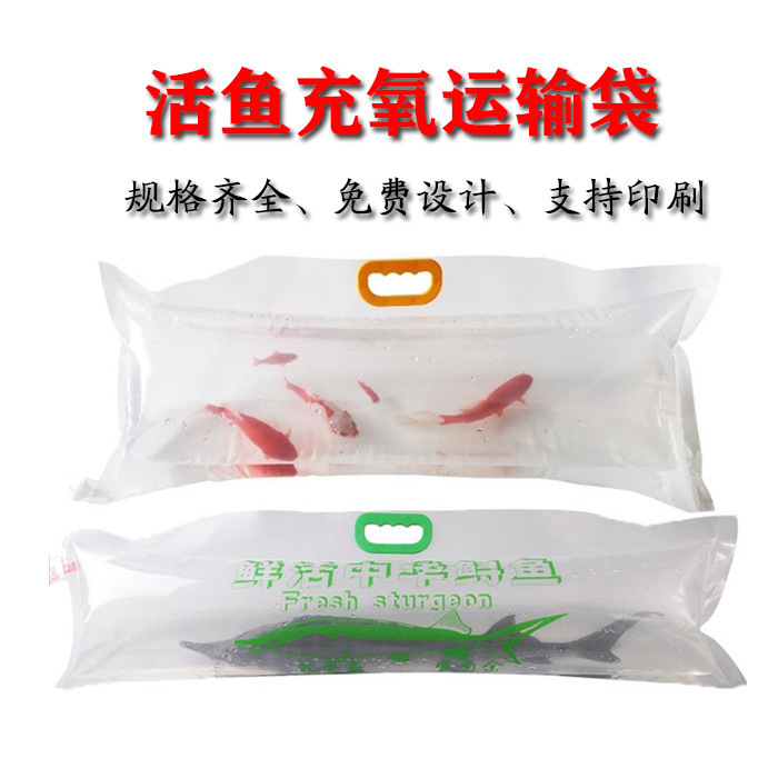 14302938720_1316598317