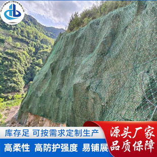 Manufacturer's In-Stock Active Slope Protection Net, Flexible Mountain Slope Slide Interception and Passive Rockfall Protection Net
