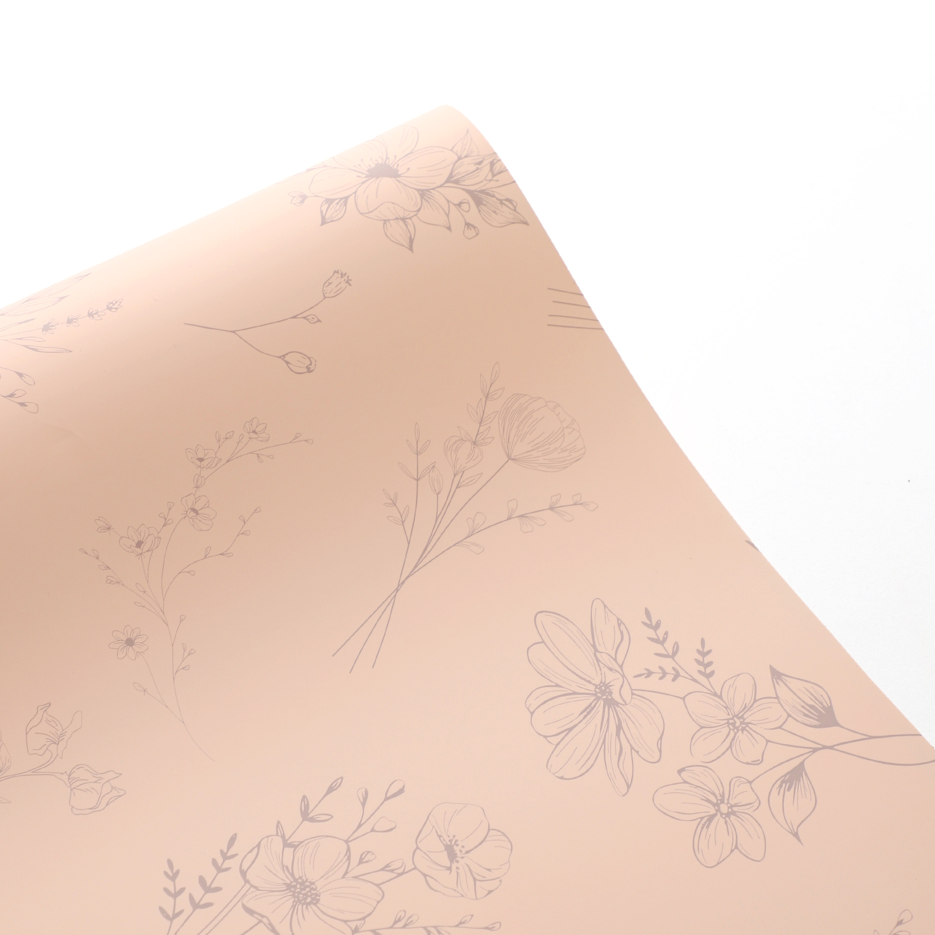 Champán crema; 56cm, 20 hojas