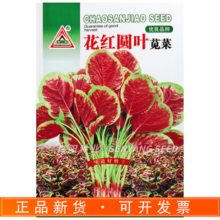 �����ǻ��t�A�~�{���ϼt�h���ļ������߮a�̨�����߲�С���