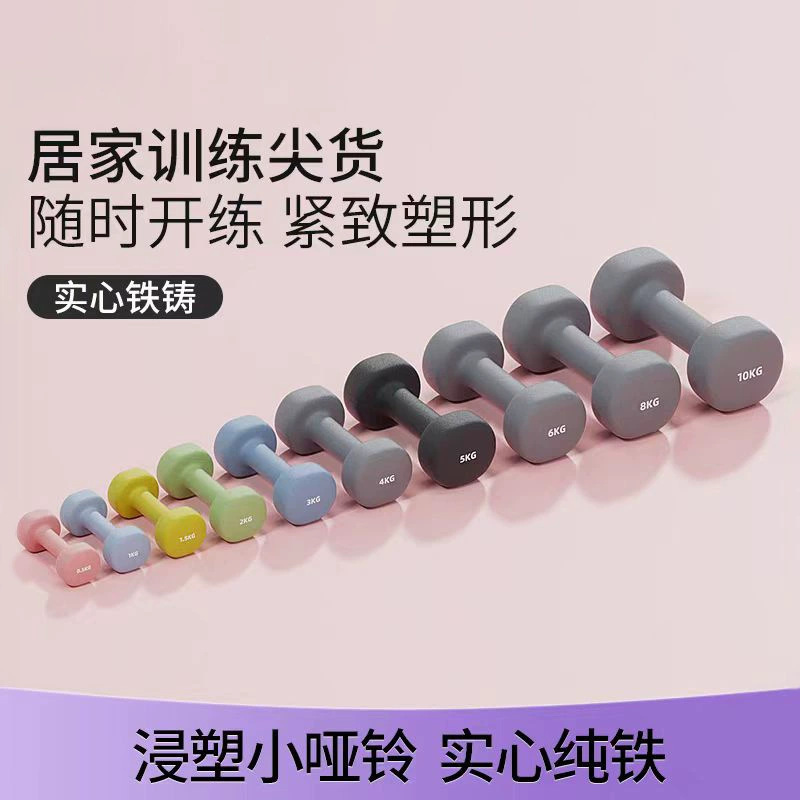 女性用フィットネス家庭用ディッププラスチックダンベル、男の子、ティーンエイジャー、小学生、子供用、固体鋳鉄、純鉄、ミニ小型|undefined