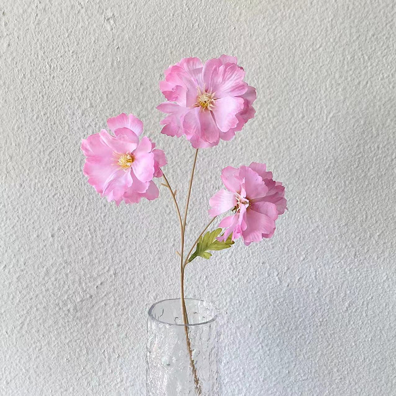 3등 난초 - 라이트 핑크