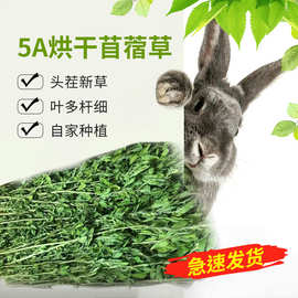 26年新草5A级烘干苜蓿草兔子龙猫豚鼠兔兔食用干草牧草食物1kg装
