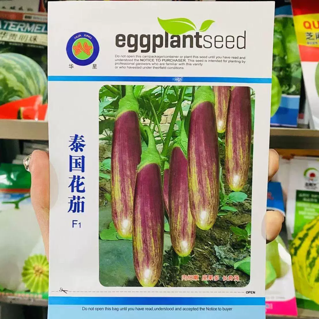 Таиланд Цветок Семя Баклажанов Длинные Семена Баклажанов Нить Семена Баклажанов Бамбуковый Шелк Баклажаны Фрукты Баклажаны Рассада Овощных Семян