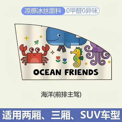 Privacy Protection | Car curtains - ocean-main-driver