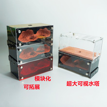 混凝土蚁巢模块化拓展无限加叠款蚂蚁工坊城堡沙巢宠物蚂蚁活动区