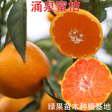 ӿȪ�۽��� ����o���۽��� ���Ә��� �����۽��� �̽�ɳ�ǽ���