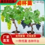 无籽盆栽耐寒蓝宝石葡萄树