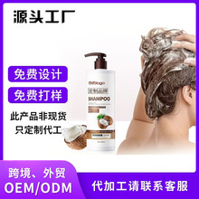 ӢҬϴlˮshampoo坍ˬϴlҺ500ml羳Qӹ