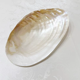 西餐刀叉勺;海螺/贝壳;勺、调羹