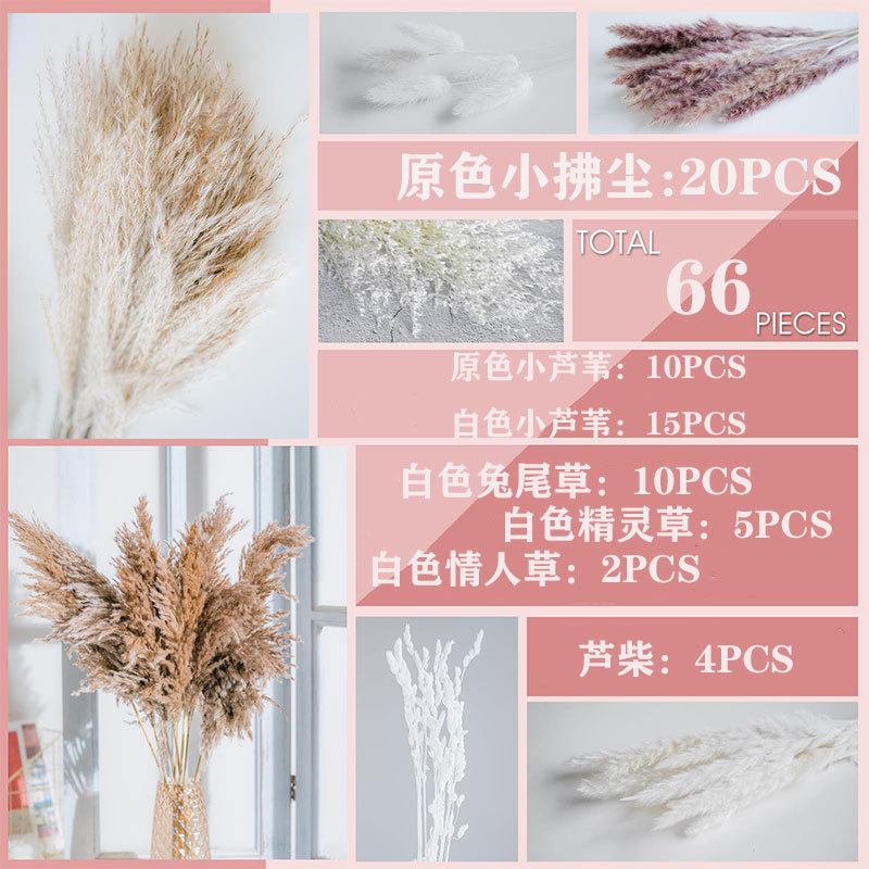 66개 박스 세트 1