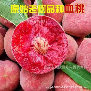 ��������Ѫ�Ү���ˮ���ЋD�t�Ĵ�������ë�ҷ�ˮ�������r�F3/5��