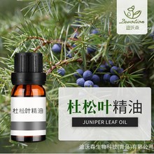 �Ჴ�������~����Juniper leaf oil�η�������ȡ�ջ�ԭ�����l