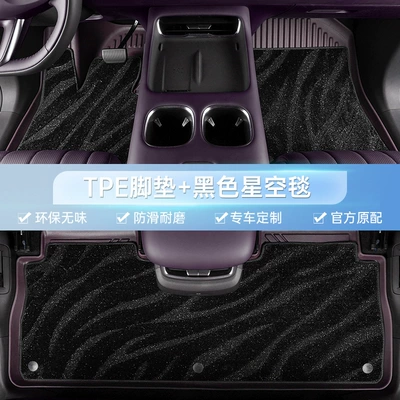Floor Mats for Models 15-25, Modelə uyğun ayaqaltı - trumpchi-gs4-15-19-models-double-layer-mist-purple-black-starry-sky-blanket-total-thickness-6mm-soft-100-tpe-foot-mat