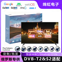 外贸出口俄罗斯电视 DVB-T2&S2适配 webOS Hub 4K 43寸  定制